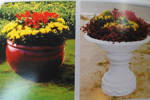 ����䓻���